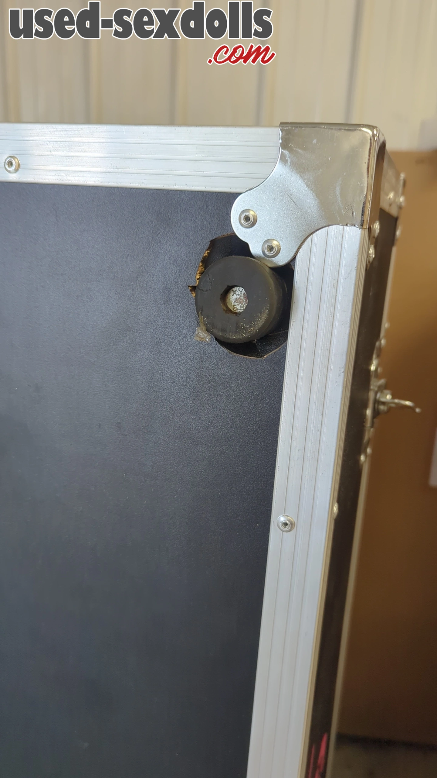 IMG 20241004 121854 799