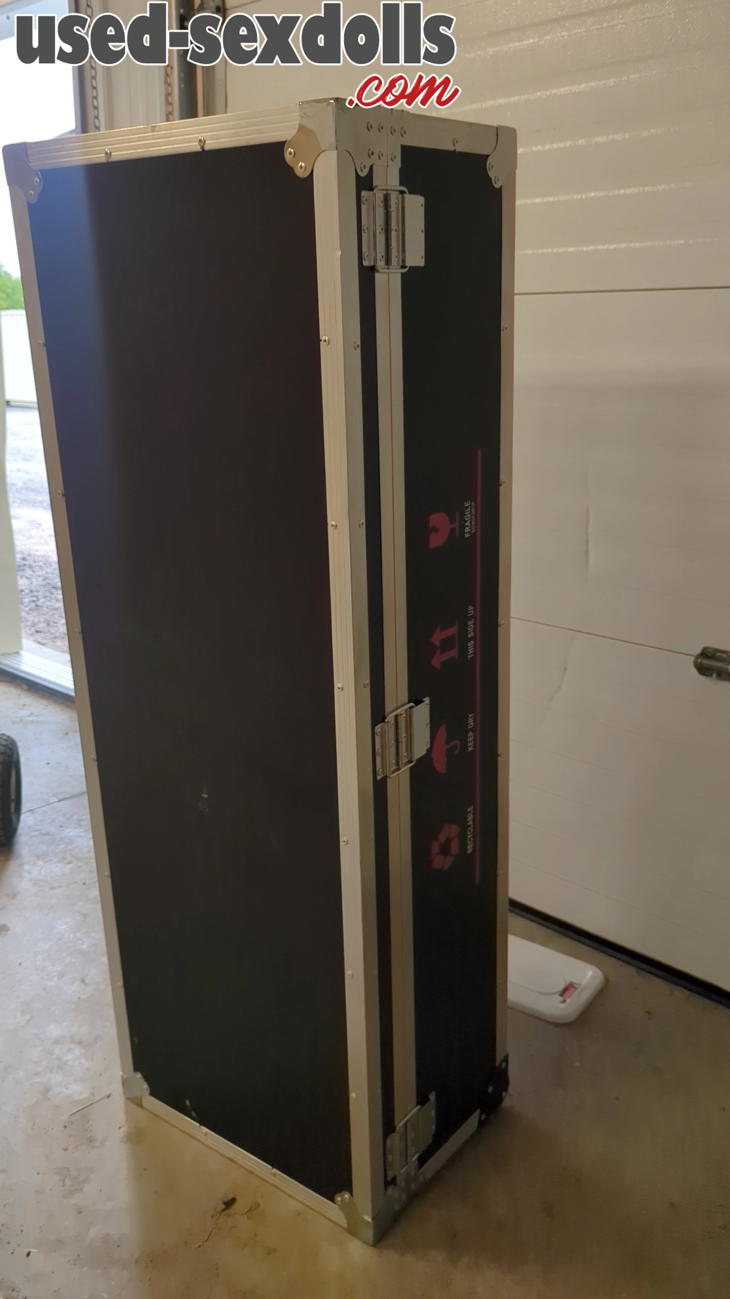 IMG 20241004 121953 774