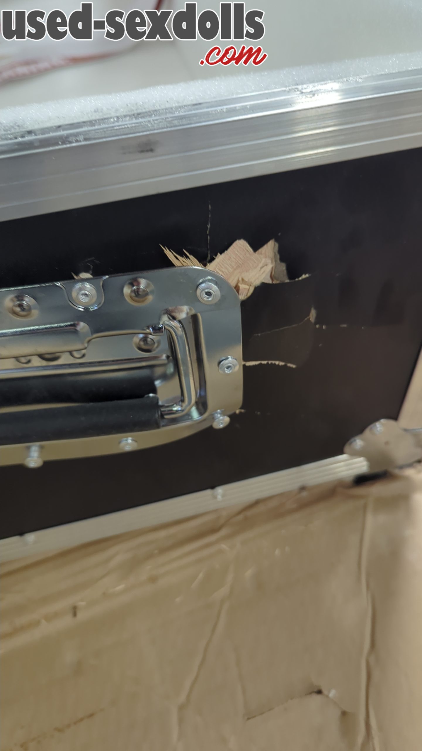 IMG 5341ea414a835dd2edb996fbf5707411 V