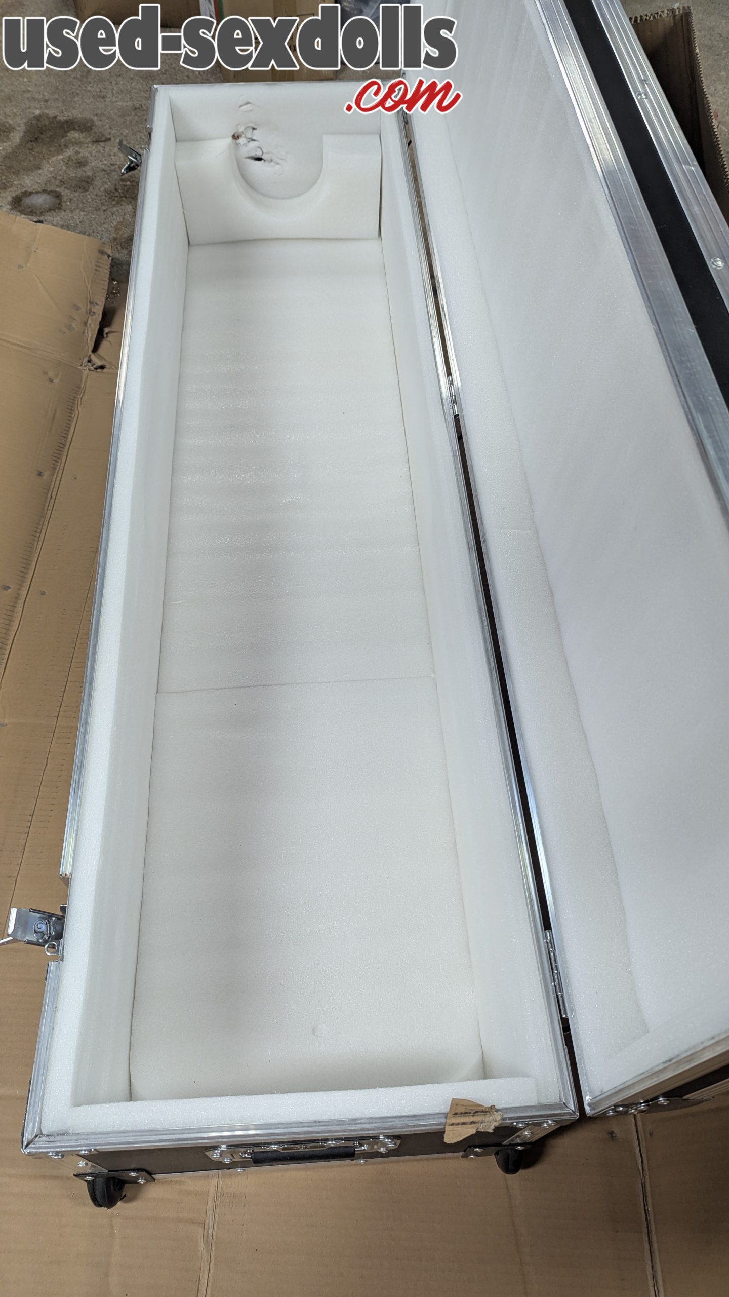 PXL 20250210 203705017