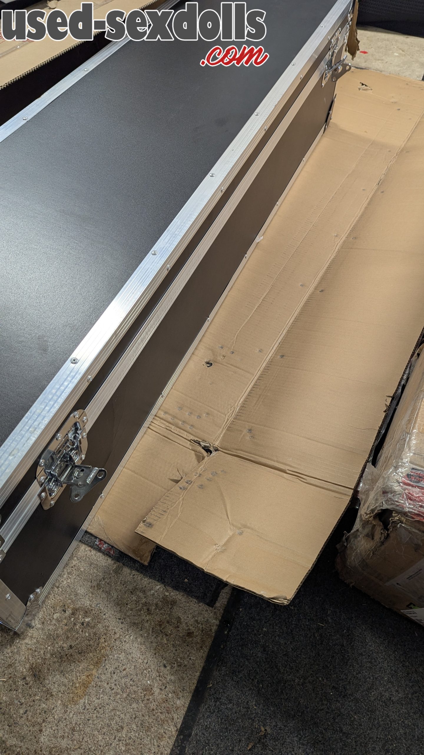 PXL 20250210 203721751