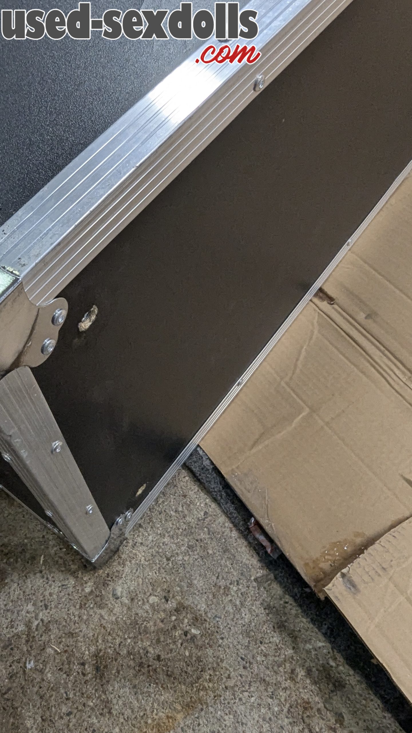 PXL 20250210 203810685