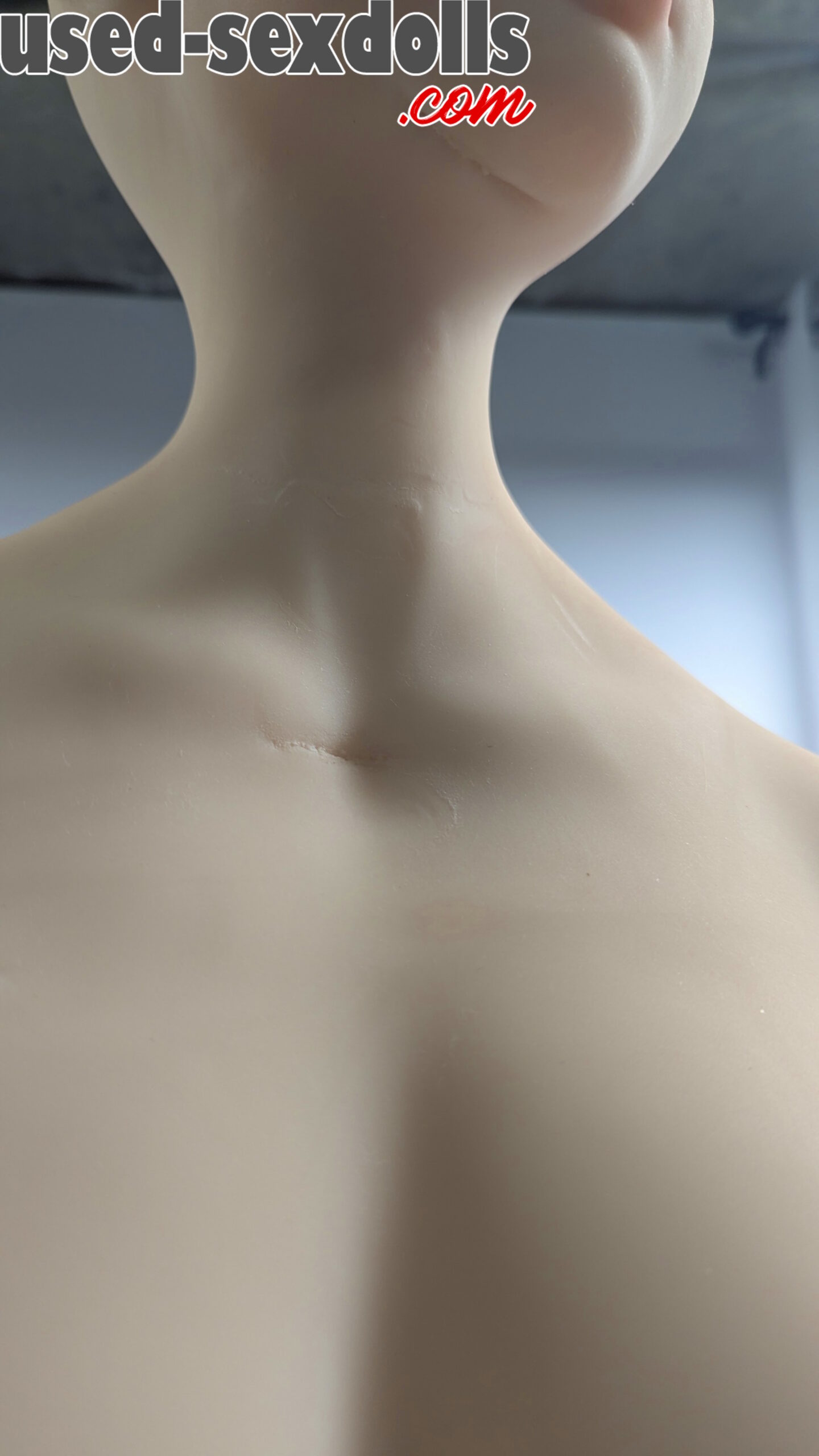 Piperdoll 150cm J cup (23)